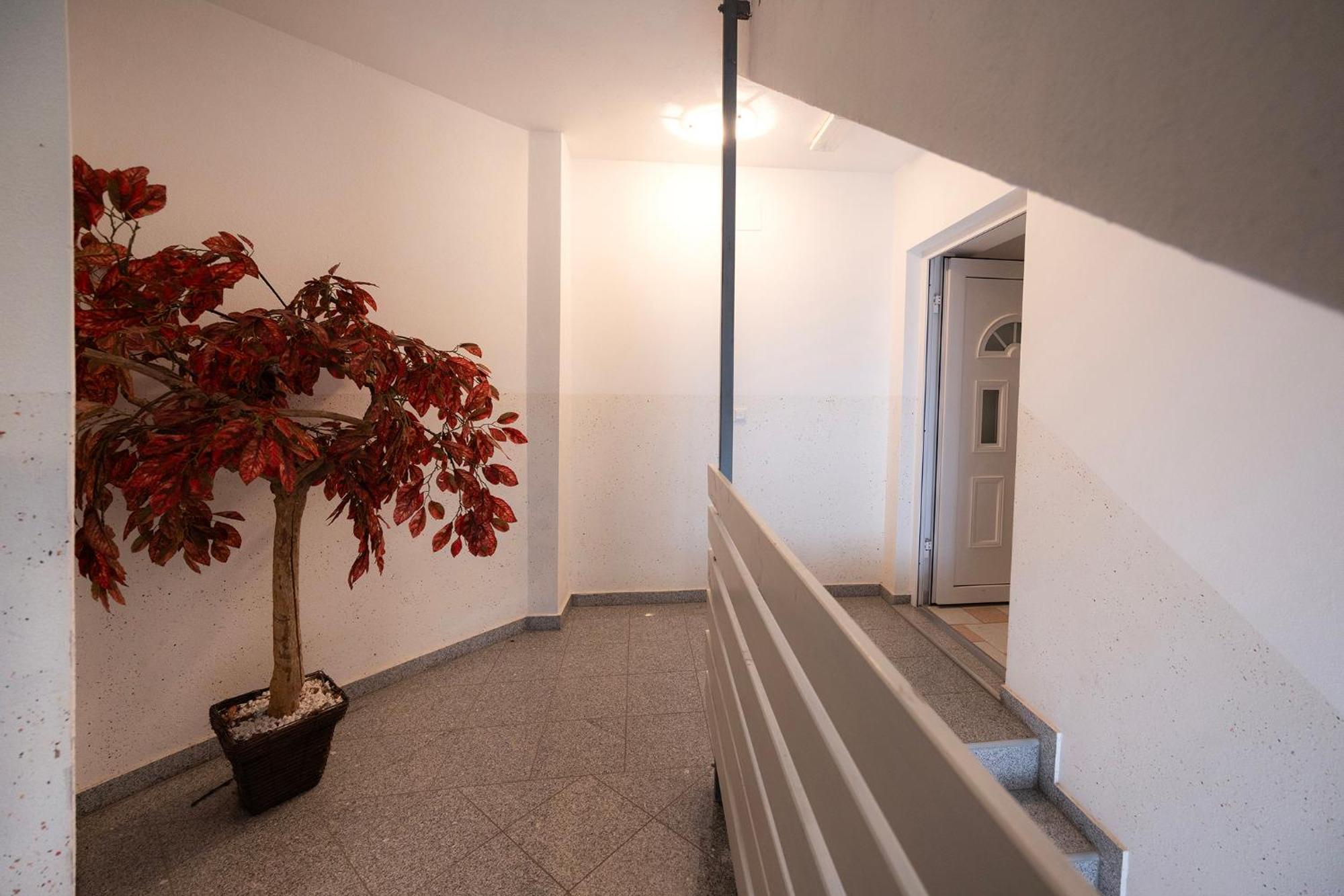 Grom Ribno Apartments Bled Buitenkant foto